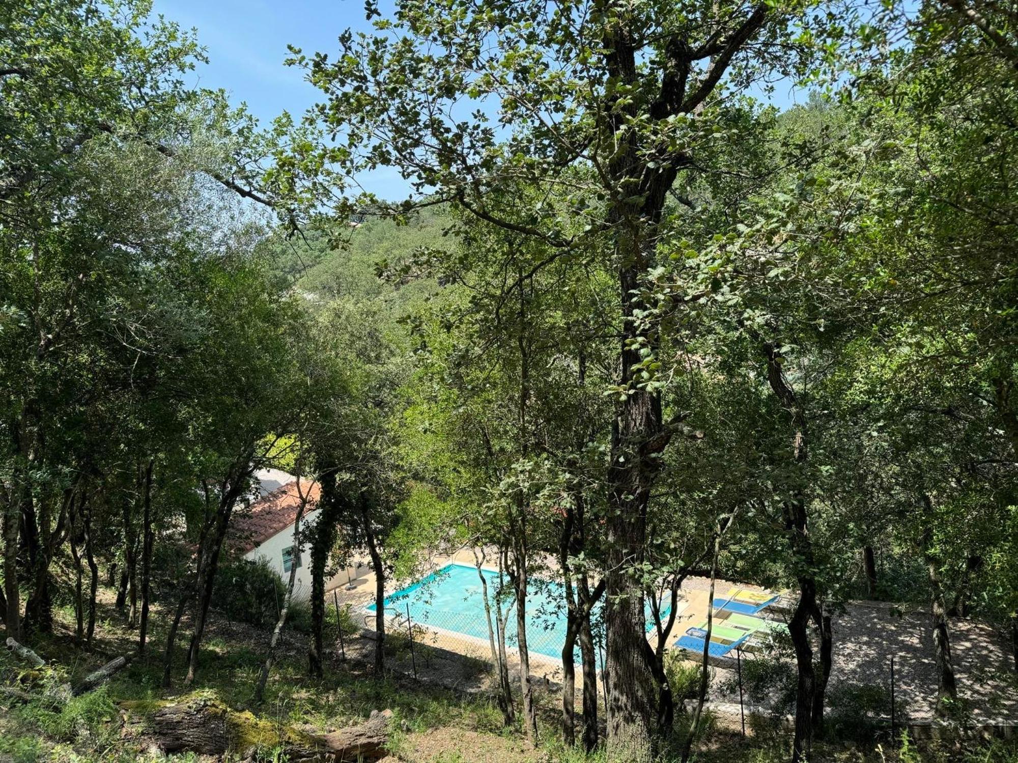 Maison Avec Piscine Chauffee Entre Mer Et Montagne Montauriol  Eksteriør bilde
